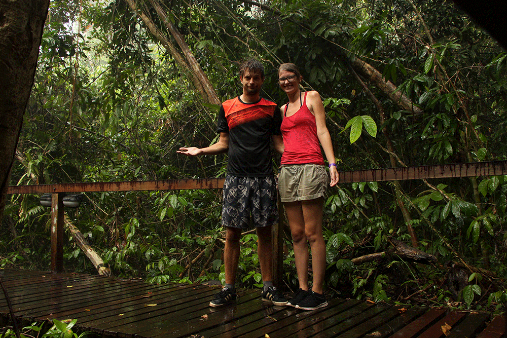 Regen im Mulu Nationalpark auf Borneo