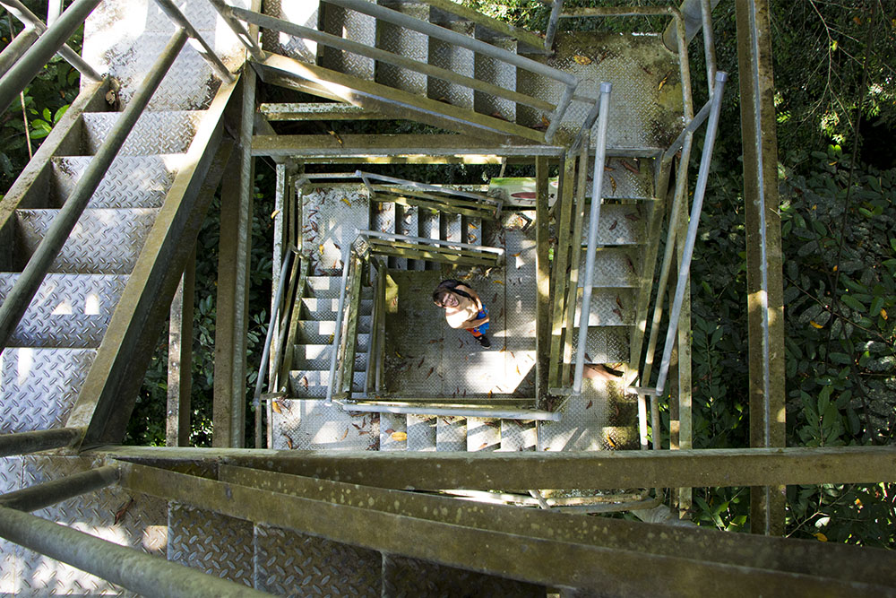 Die Treppe vom Tree Top Tower im Gunung Mulu NP