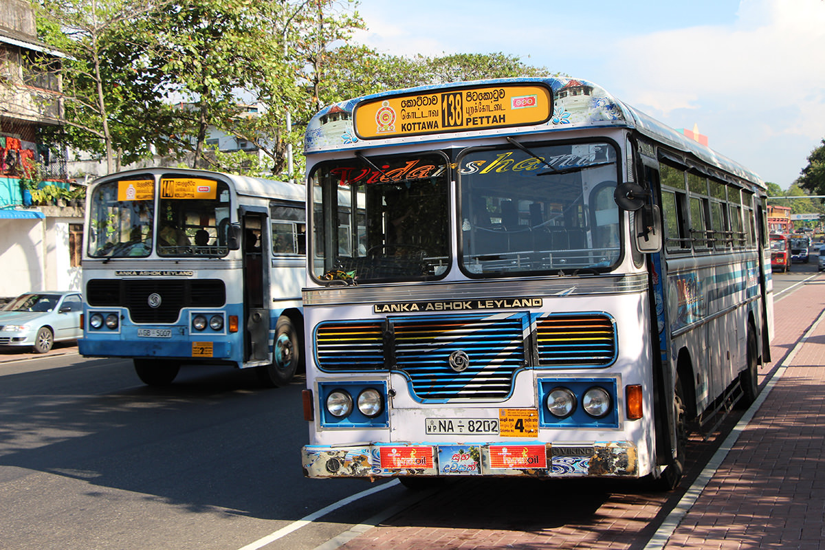 Busse in Colombo