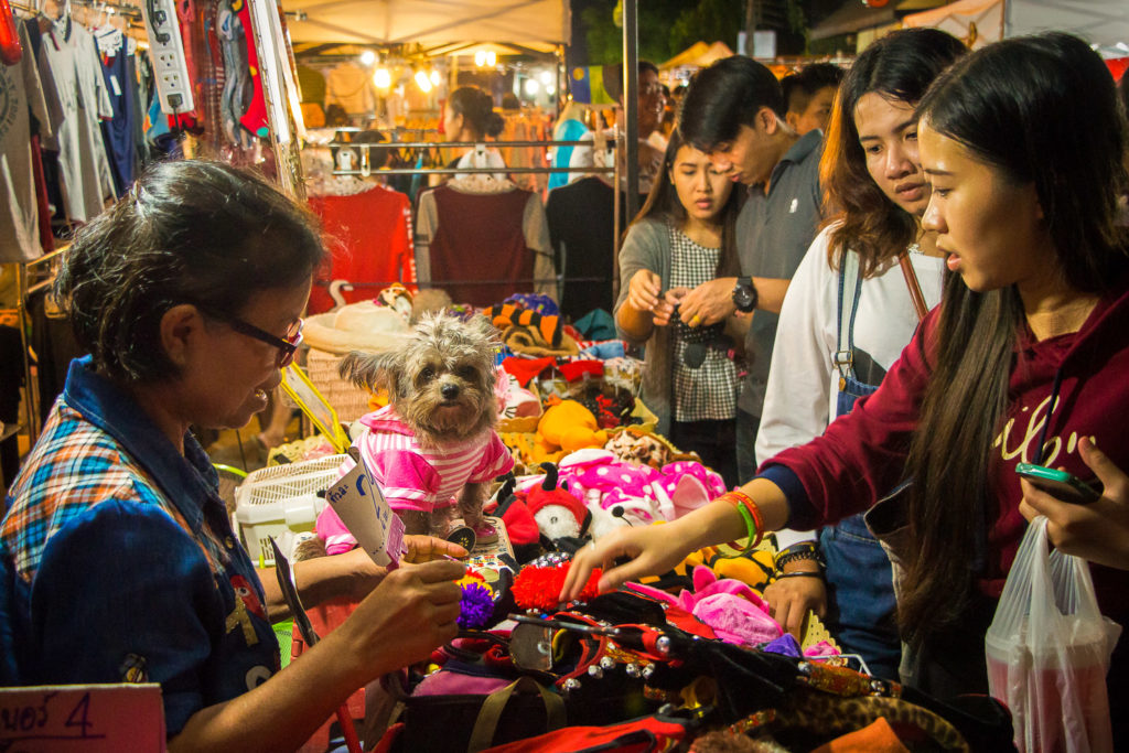 Thailänderin verkauft Kleidung für Hunde in Chiang Rai