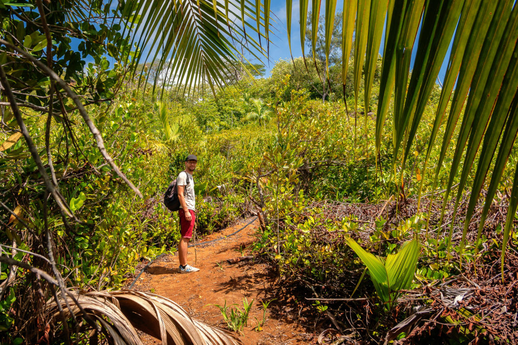 Wanderung durch den Dschungel im Jardin du Roi auf Mahé